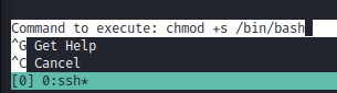 chmod-bash